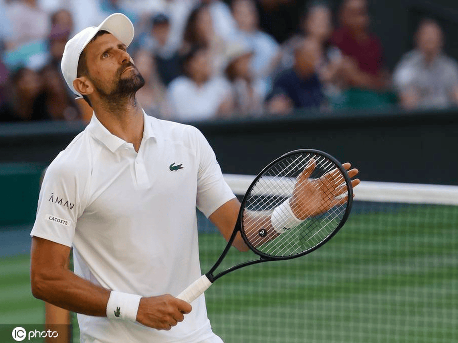 温网横扫ATP总决赛,德约科维奇点燃赛场 温网横扫ATP总决赛,德约科维奇点燃赛场