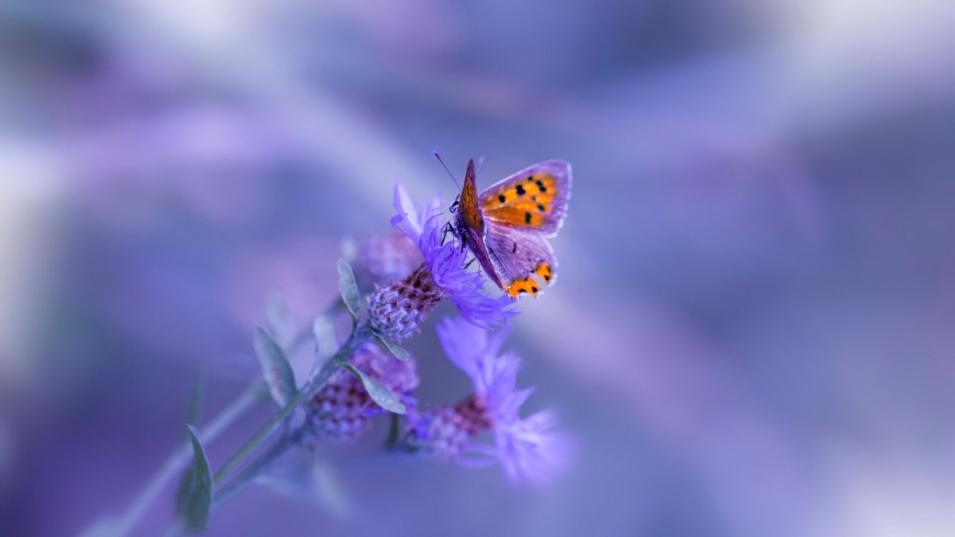 特奥一锤定音，哥伦比亚掀翻利物浦改写历史